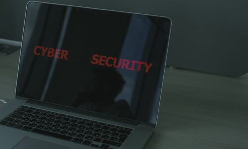 Security Risks of Anthropic Claude Skills Framework